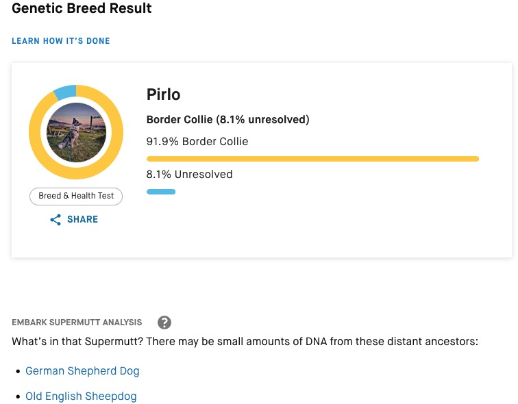 Test de Embark de Raza